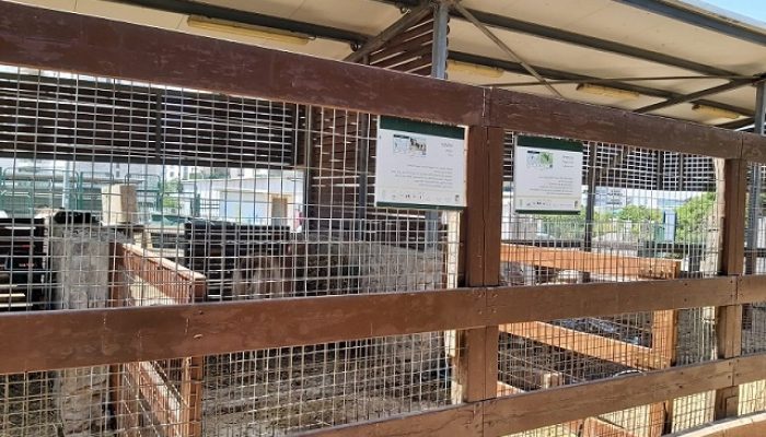 פארק חי העמק - פארק עירוני עפולה