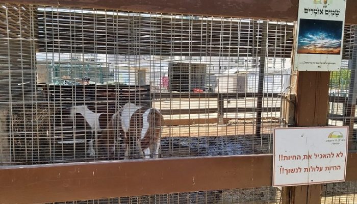 פארק חי העמק - פארק עירוני עפולה