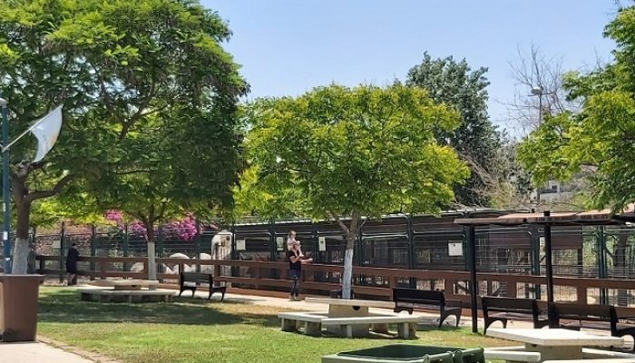 פארק חי העמק - פארק עירוני עפולה