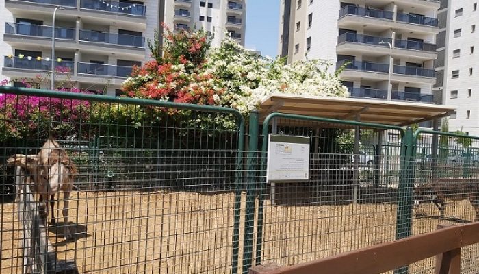 פארק חי העמק - פארק עירוני עפולה