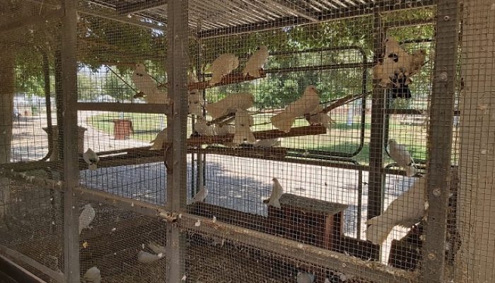 פארק חי העמק - פארק עירוני עפולה