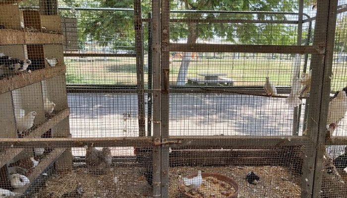 פארק חי העמק - פארק עירוני עפולה