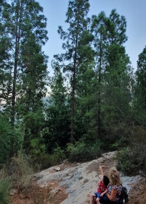 מסלול נחל קטיע דרך אורי פארק נשר