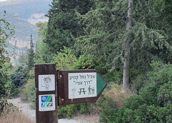 מסלול נחל קטיע דרך אורי פארק נשר