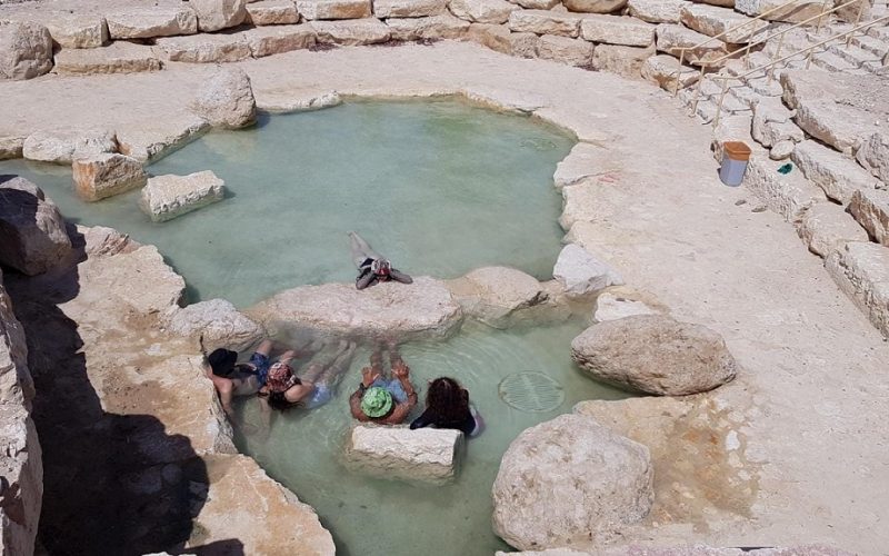 פארק נחל אמציהו - פארק אקולוגי בים המלח