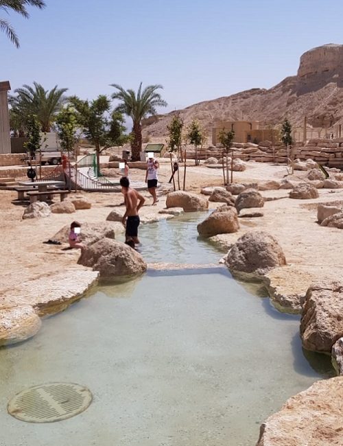 פארק נחל אמציהו - פארק אקולוגי בים המלח