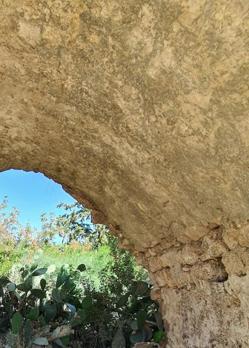 עין איילה וחורבת שמרי בנחל שמרי - שביל שלוחת איילה יער עופר