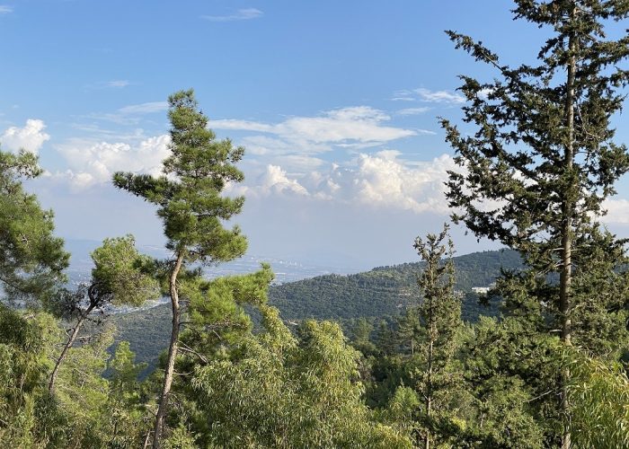 מצפור דוד אייזן בפארק הכרמל