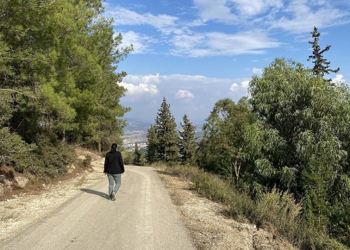 מצפור דוד אייזן בפארק הכרמל