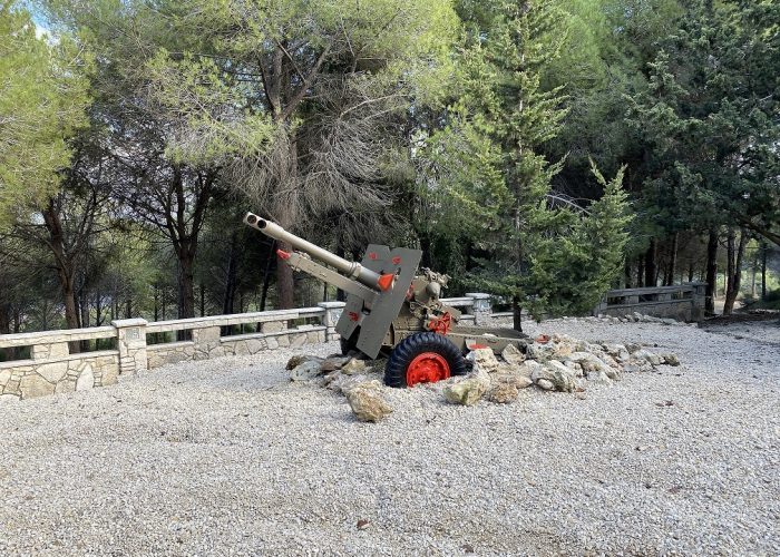 מצפור דוד אייזן בפארק הכרמל