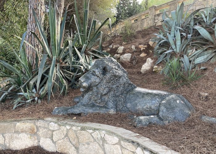 מצפור דוד אייזן בפארק הכרמל