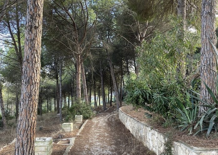 מצפור דוד אייזן בפארק הכרמל