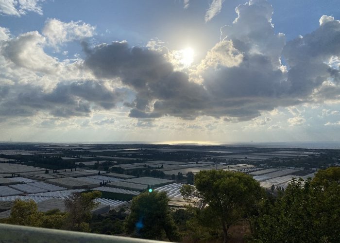 שביל הבריחה ותצפית עופר ביער חוף הכרמל – יער עופר