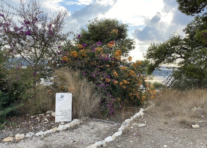 שביל הבריחה ותצפית עופר ביער חוף הכרמל – יער עופר
