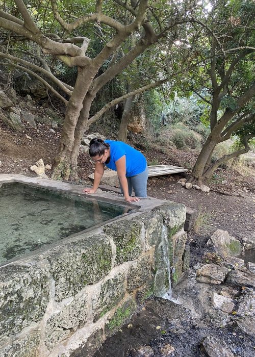 עין איילה וחורבת שמרי בנחל שמרי - שביל שלוחת איילה יער עופר