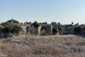 חורבת מלח – אתר עתיקות ופריחה בסתיו ובחורף