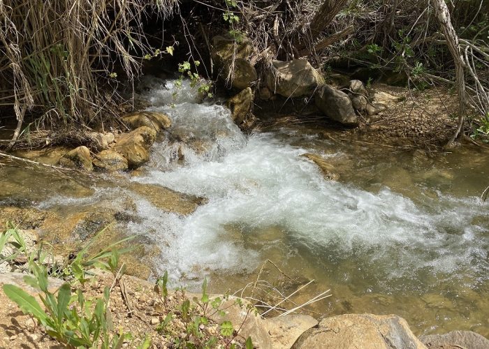בריכת המנחת פארק המטוס - נחל עיון