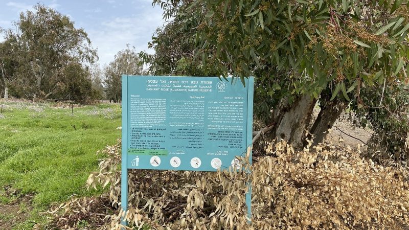 הר חוזק בשמורת רכס בשנית – טיול פריחה של סתיו ברמת הגולן