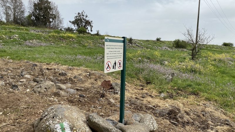 הר חוזק בשמורת רכס בשנית – טיול פריחה של סתיו ברמת הגולן