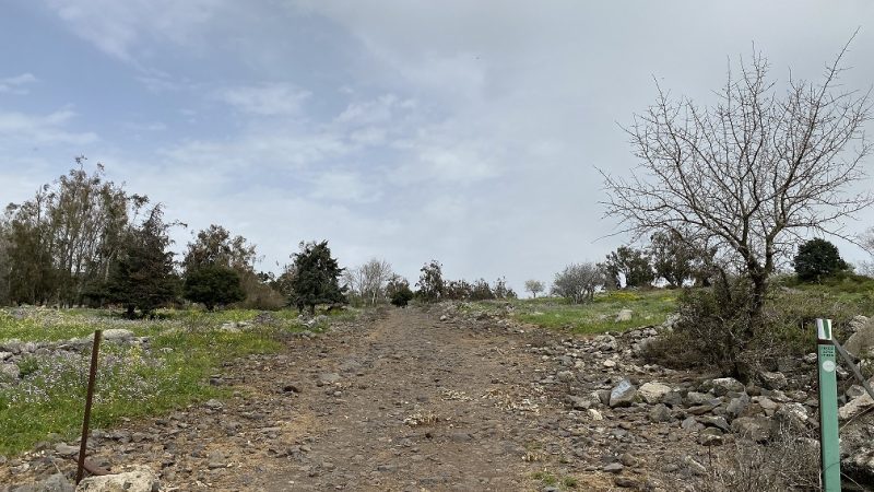 הר חוזק בשמורת רכס בשנית – טיול פריחה של סתיו ברמת הגולן