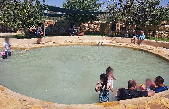 כרם רמון – כרם בלב מדבר