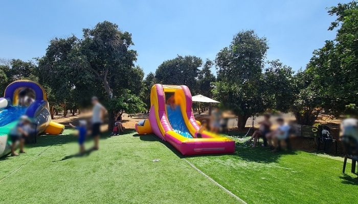 רוי בוי הפארק – טבע, חיות, אטרקציות ומופע של רוי בוי