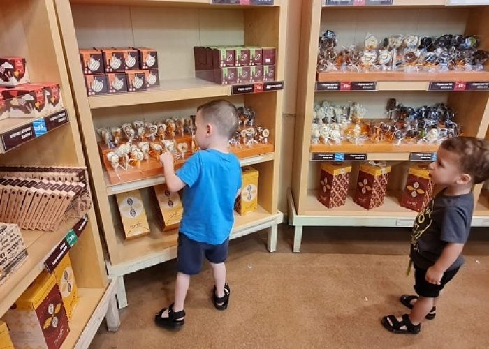 סדנאות שוקולד אצל גליתא