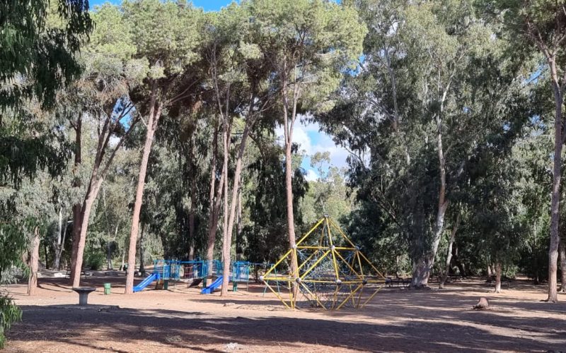 יער קדימה - קרן קיימת לישראל