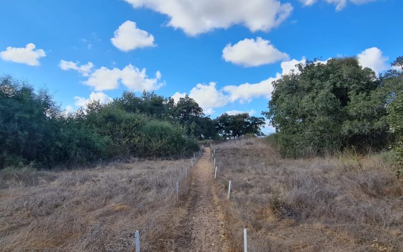 שמורת הטבע קדימה