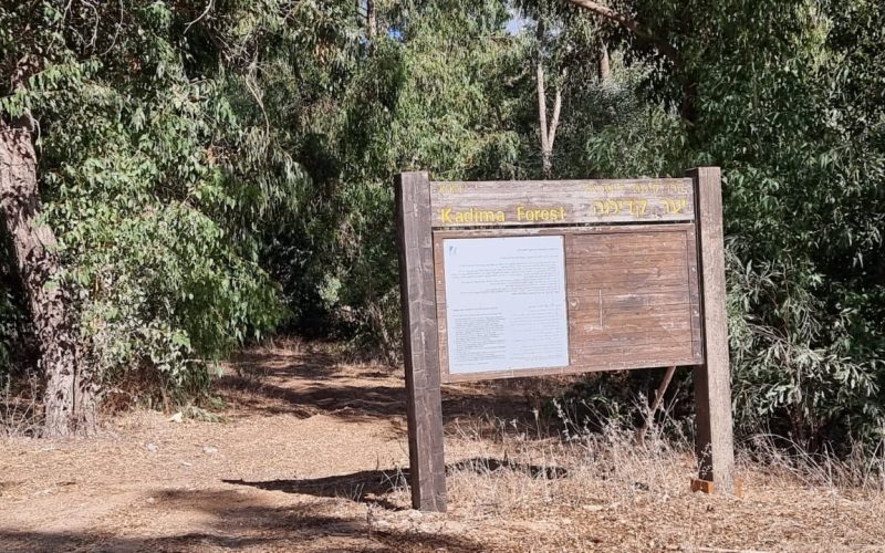 יער קדימה - קרן קיימת לישראל