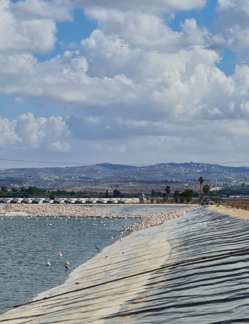 מאגר משמר השרון - מאגר ויקר