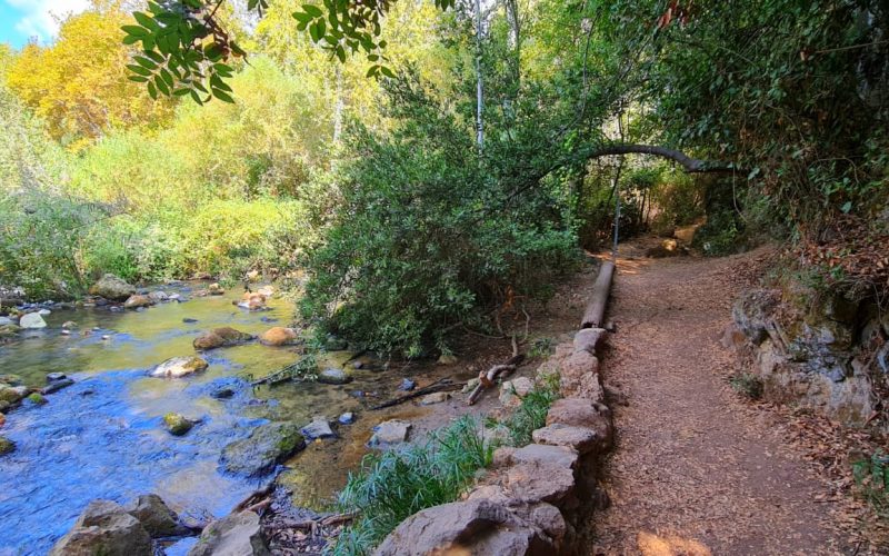 נחל חרמון הבניאס עליון ממתחם המעיינות ועד למפל הבניאס