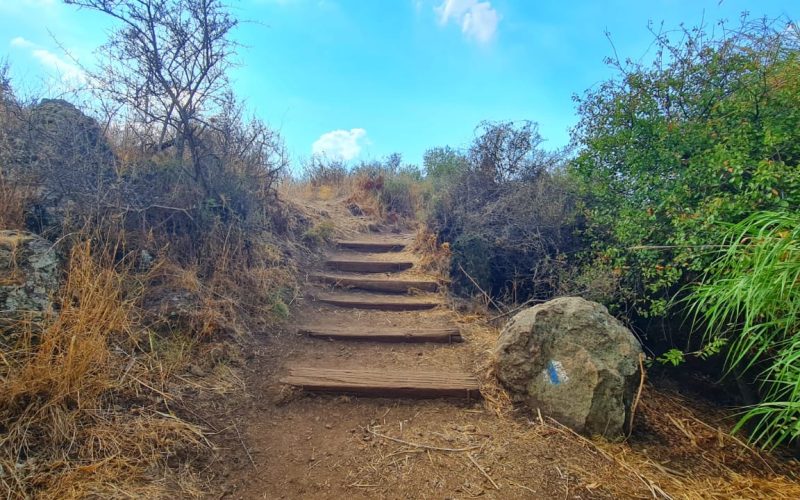 נחל חרמון הבניאס עליון ממתחם המעיינות ועד למפל הבניאס