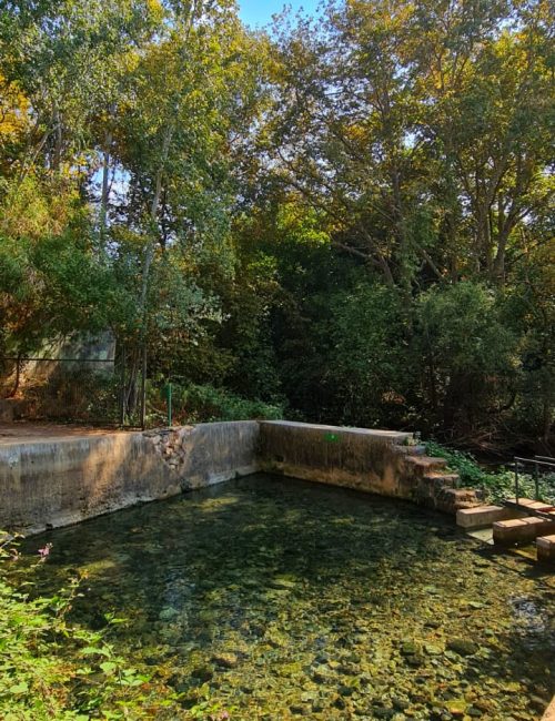 נחל חרמון הבניאס עליון ממתחם המעיינות ועד למפל הבניאס