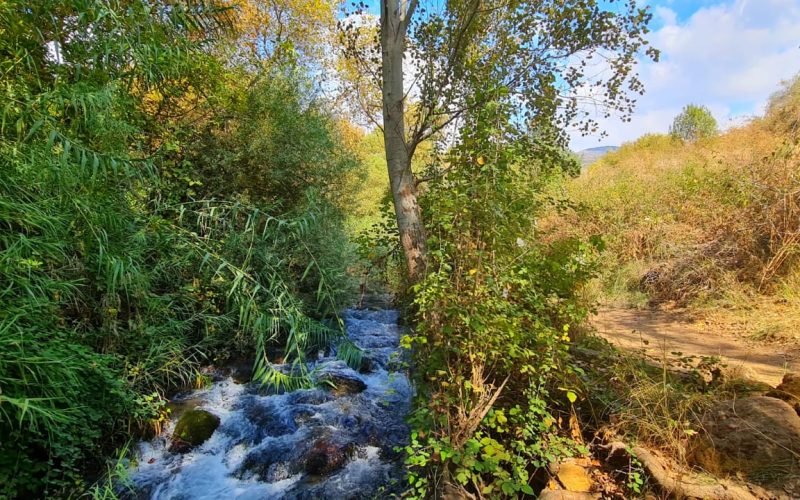 נחל חרמון הבניאס עליון ממתחם המעיינות ועד למפל הבניאס