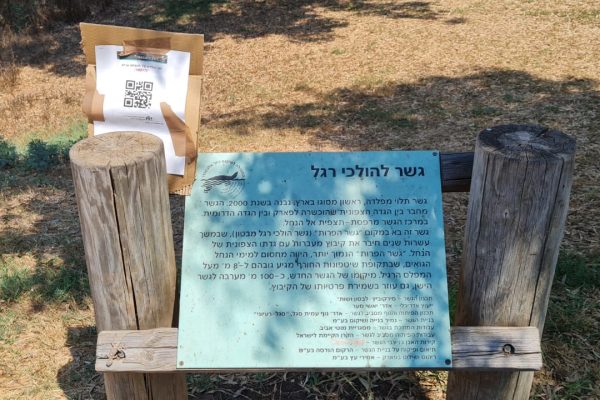 קטע נחל לדוגמא בפארק איטליה – נחל אלכסנדר