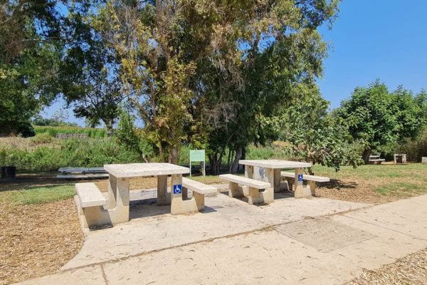 קטע נחל לדוגמא בפארק איטליה – נחל אלכסנדר