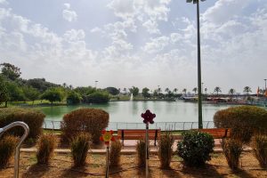 פארק רעננה - פארק עירוני בשרון