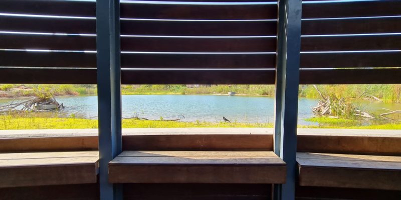 פארק צפרות ראש ציפור יער ראש ציפור ותל נפוליון