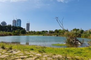 פארק צפרות ראש ציפור יער ראש ציפור ותל נפוליון