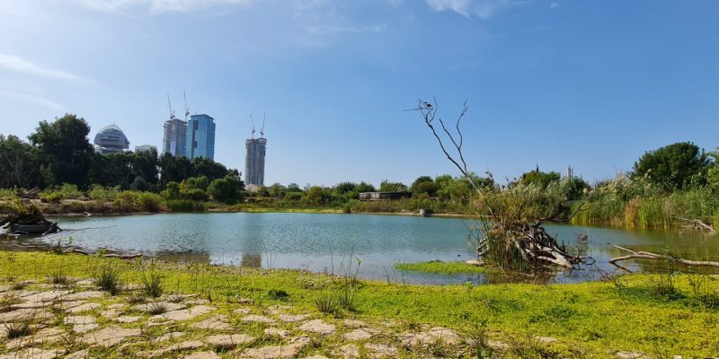 פארק צפרות ראש ציפור יער ראש ציפור ותל נפוליון