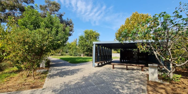 פארק צפרות ראש ציפור יער ראש ציפור ותל נפוליון