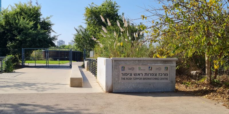 פארק צפרות ראש ציפור יער ראש ציפור ותל נפוליון