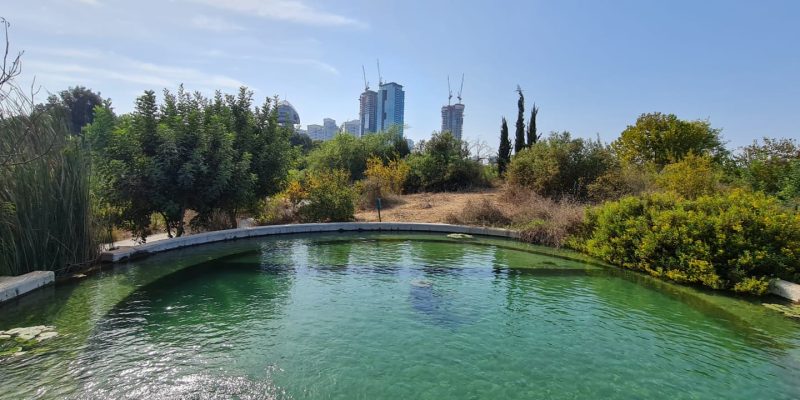 פארק צפרות ראש ציפור יער ראש ציפור ותל נפוליון