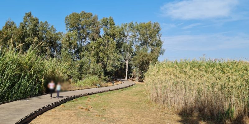 פארק עירוני הרצליה