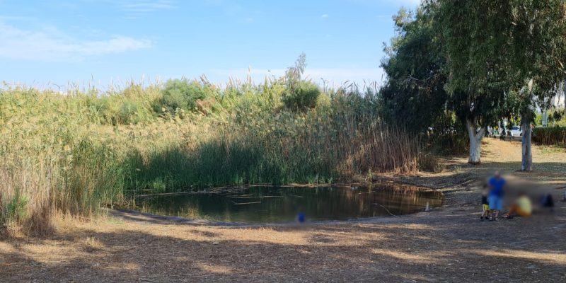 פארק עירוני הרצליה