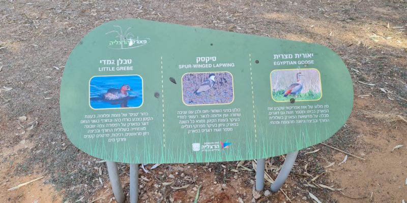 פארק עירוני הרצליה