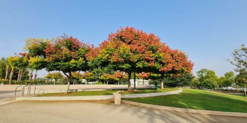 פארק עירוני כפר סבא
