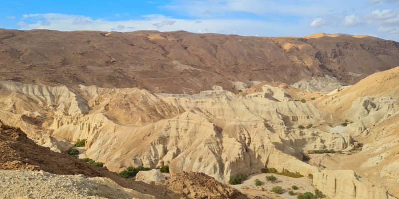 נחל זוהר – מסלול הליכה קווי במדבר יהודה