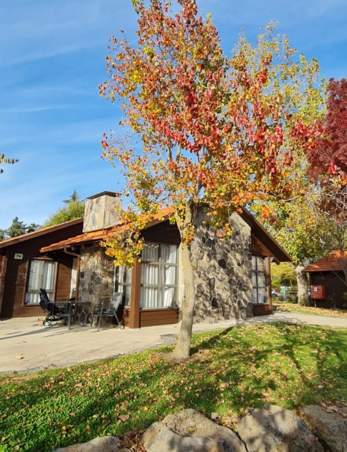 קיבוץ מרום גולן – תצפית מאגר בנטל וחוות הסוסים